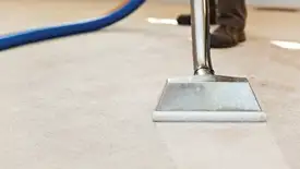 Carpet cleaning wand head gliding over a light carpet during hot-water extraction, Aurora, IL.