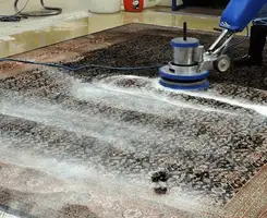 Professional rug cleaning with a rotary floor machine and shampoo foam, deep-cleaning an area rug, in Aurora, IL.