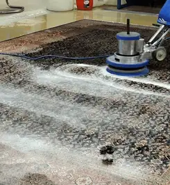 Professional rug cleaning with a rotary floor machine and shampoo foam, deep-cleaning an area rug Aurora, IL.